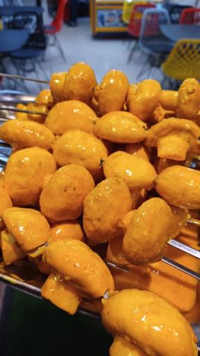 عکس جگر سرای میزبان