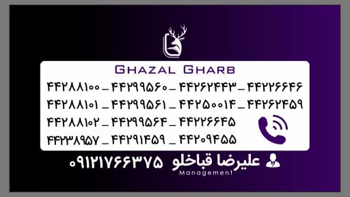 عکس پیک موتوری غزال غرب کد 294