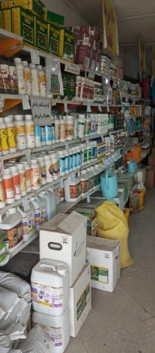 عکس داروخانه گیاه پزشکی بذرافشان