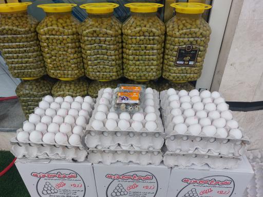 هایپر پروتئین صدف