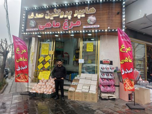 عکس هایپر پروتئین صدف