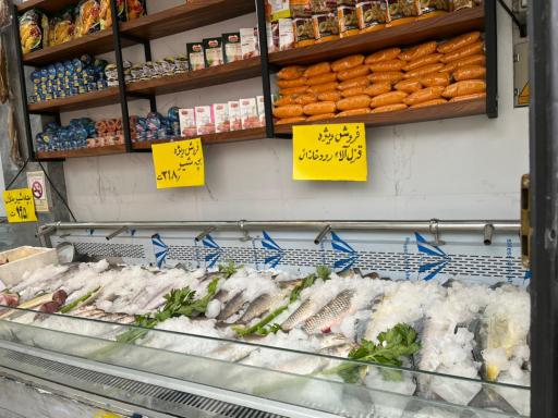 هایپر پروتئین صدف