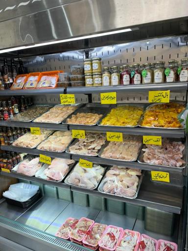 عکس هایپر پروتئین صدف