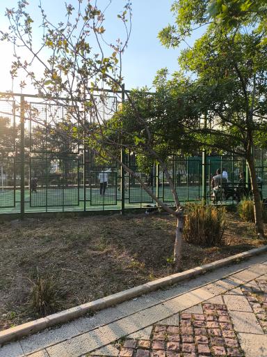 زمین چمن مصنوعی شهید ابراهیمی