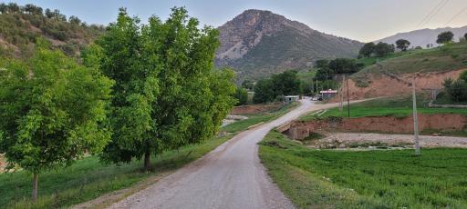 عکس شول آباد