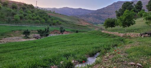 عکس شول آباد