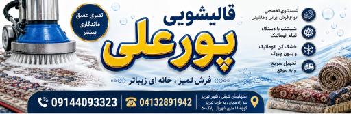 عکس قالیشویی علی پور 