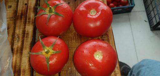 عکس هایپر میوه سرای شریفی