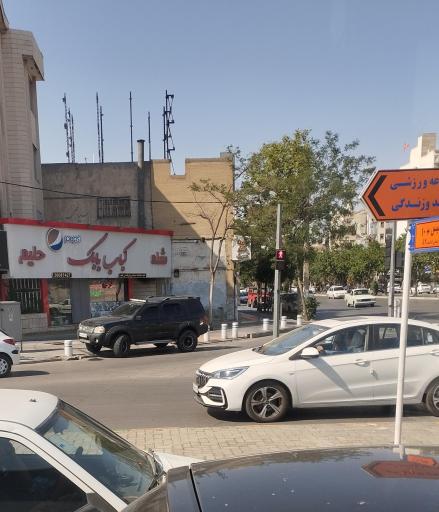 عکس کباب بابک