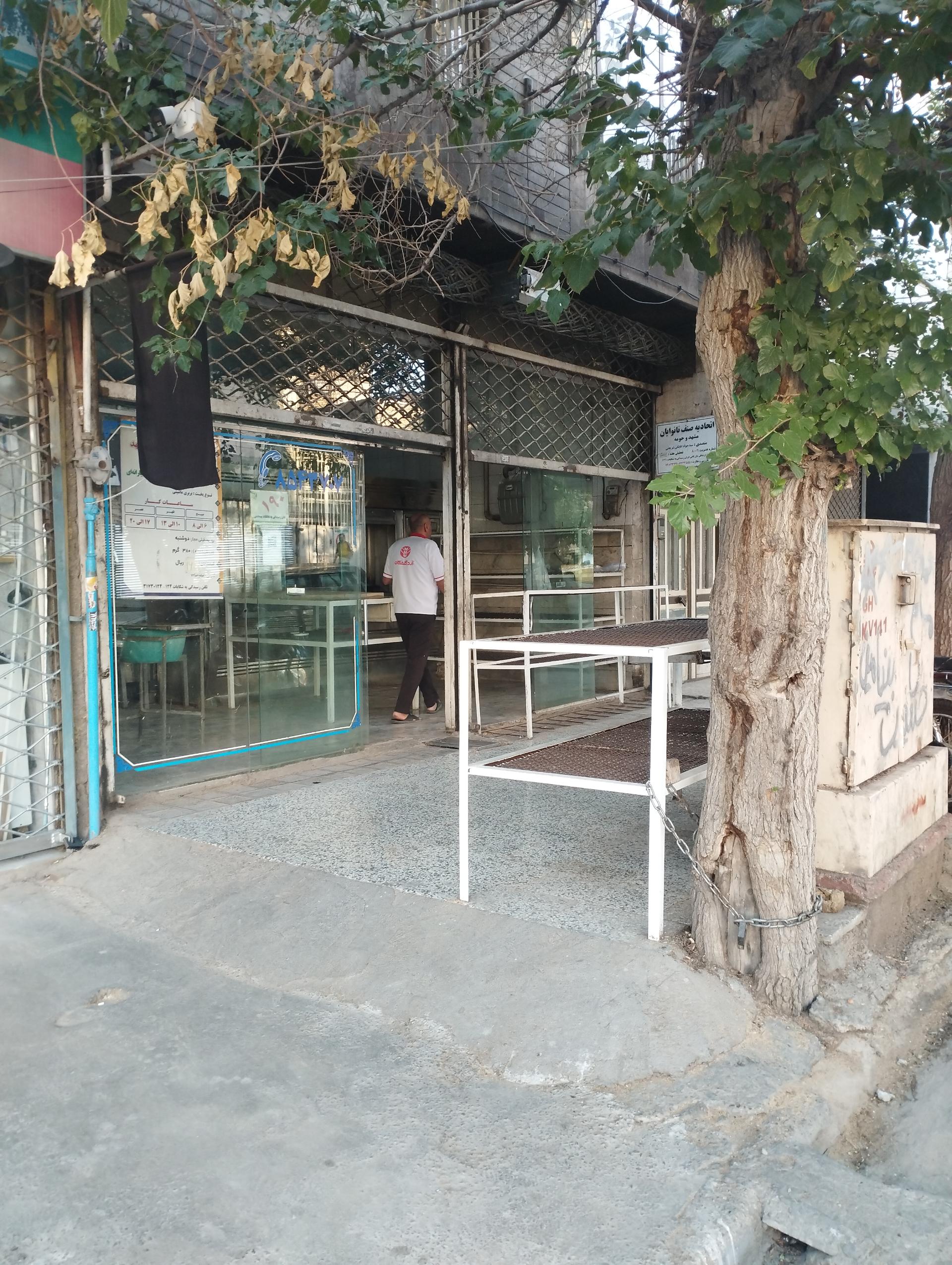 عکس نان تافتون