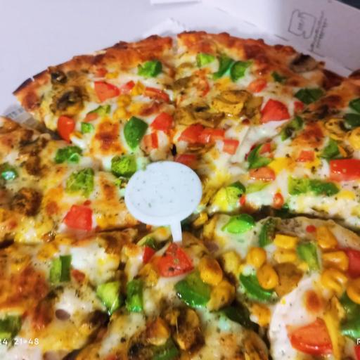 عکس پیتزا تنوری وانیا