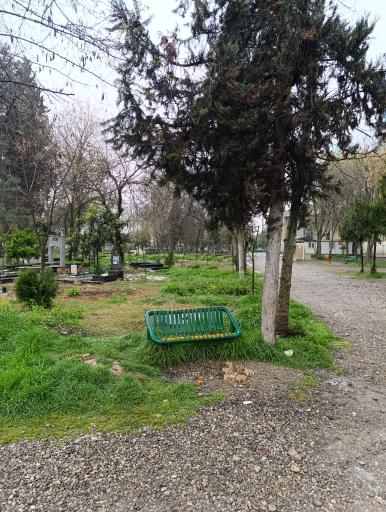 عکس آرامستان دلند