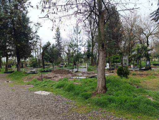 عکس آرامستان دلند