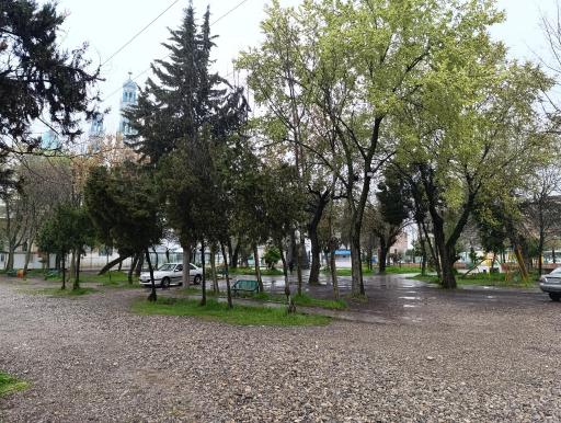 عکس آرامستان دلند