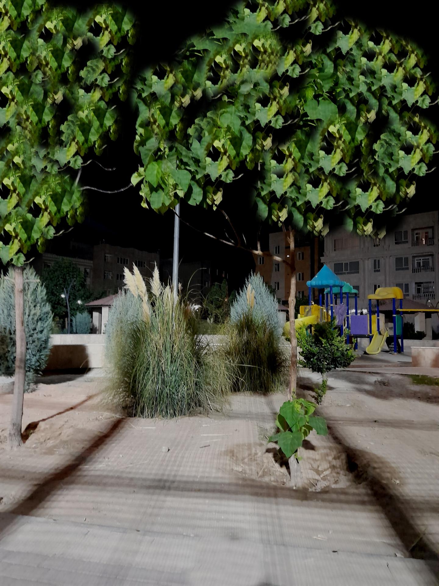 عکس بوستان استاد شهریار