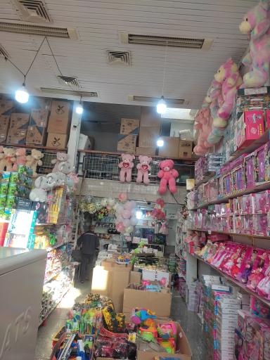 عکس دنیای اسباب بازی پوریا