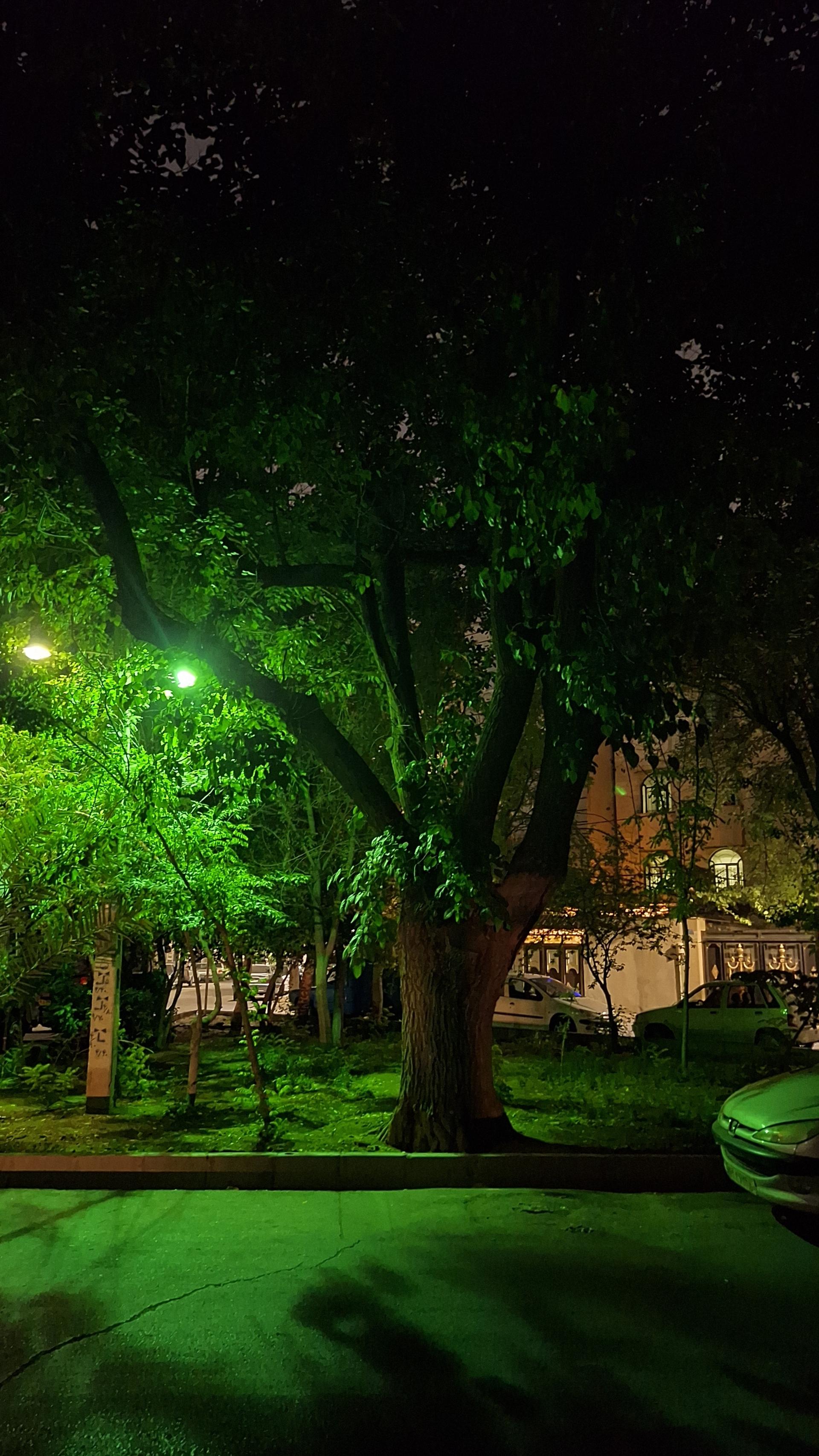 عکس فضای سبز