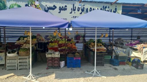 عکس میوه فروشی خانزاده