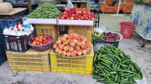 عکس میوه فروشی خانزاده