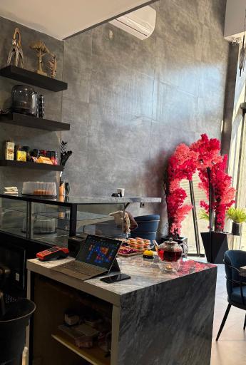 عکس کافه آلپ