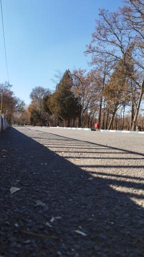 عکس شهربازی پارک ملت