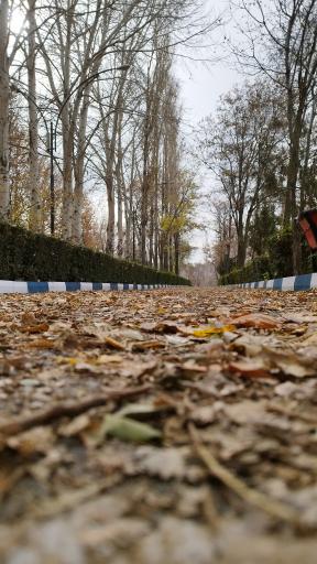 عکس شهربازی پارک ملت