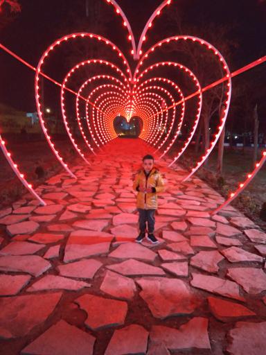 عکس شهربازی پارک ملت