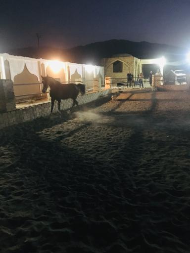 عکس باشگاه سوارکاری و پرورش اسب همای