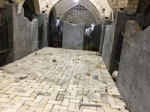 عکس باشگاه سوارکاری و پرورش اسب همای