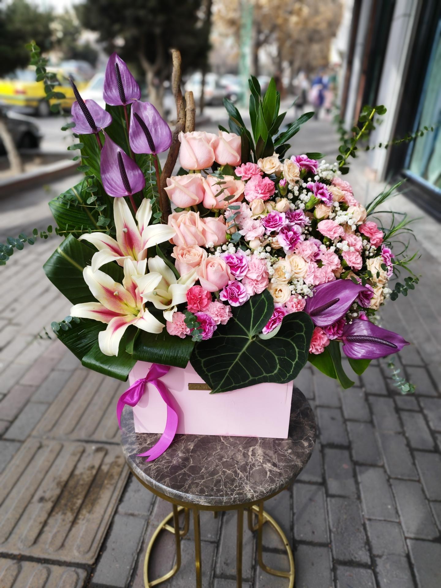 عکس گل گلدیس