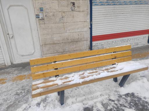 عکس  مسلم شمالی 9