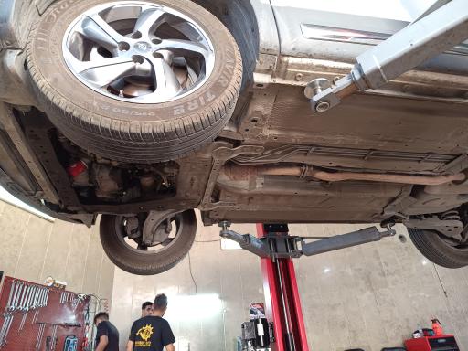 عکس تشخیص رنگ زارع (نانولند)