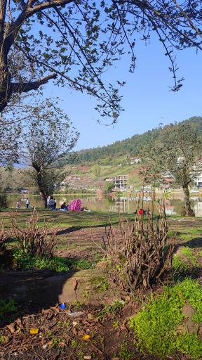 عکس دریاچه حلیمه جان