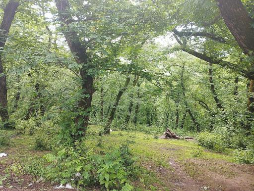 عکس دریاچه حلیمه جان