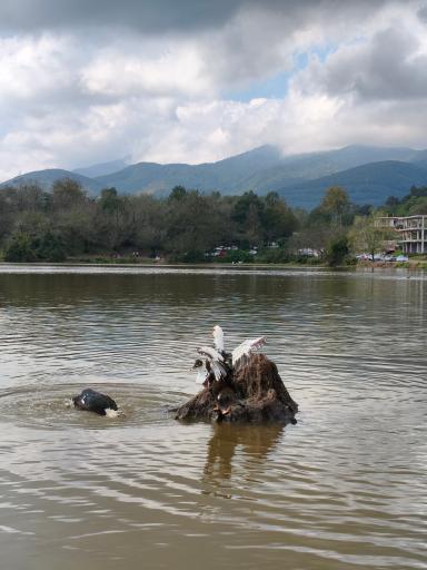 عکس دریاچه حلیمه جان