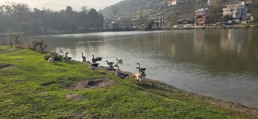 عکس دریاچه حلیمه جان