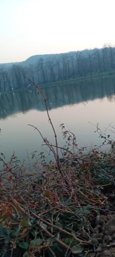 عکس دریاچه حلیمه جان