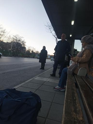 عکس  سید رضی