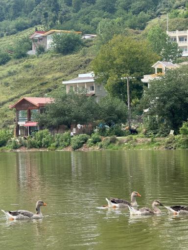 عکس دریاچه حلیمه جان