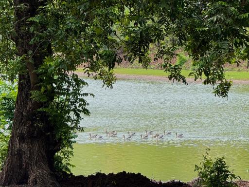 عکس دریاچه حلیمه جان