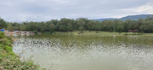 عکس دریاچه حلیمه جان