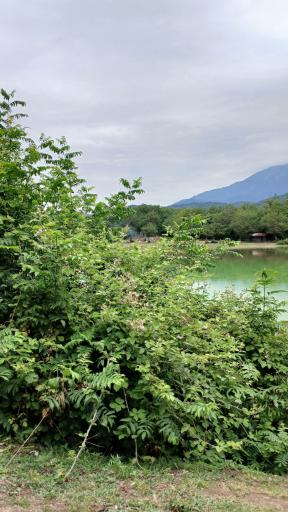 عکس دریاچه حلیمه جان