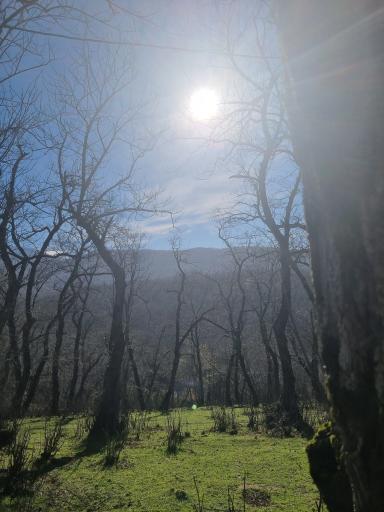 عکس دریاچه حلیمه جان