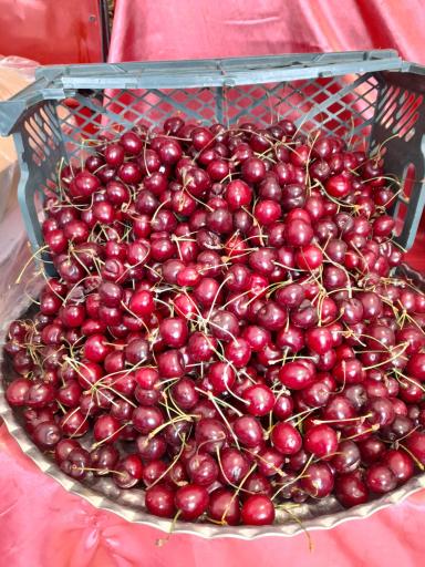 عکس میوه سرای ویتامین