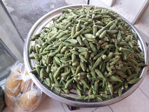 عکس میوه سرای ویتامین