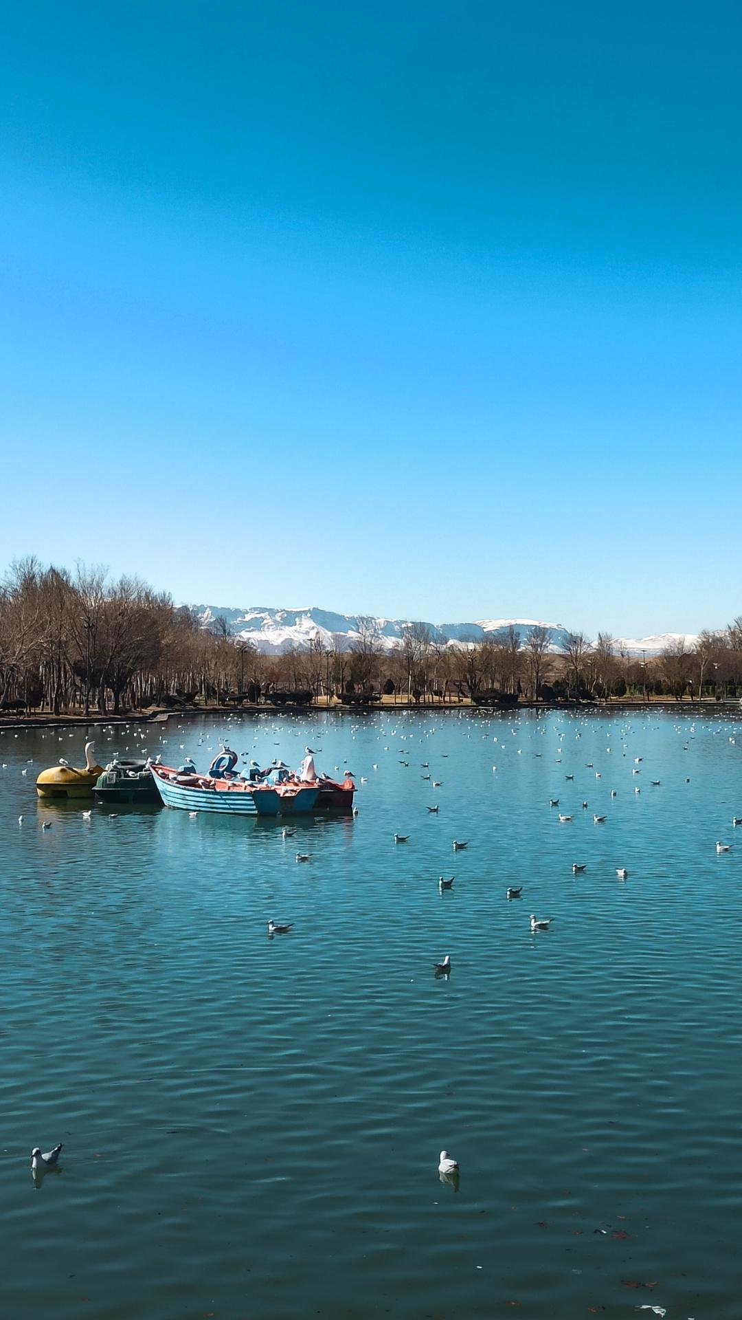 عکس پارک زرین شهر