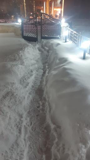 عکس مجتمع مسکونی گل نرگس سرعین