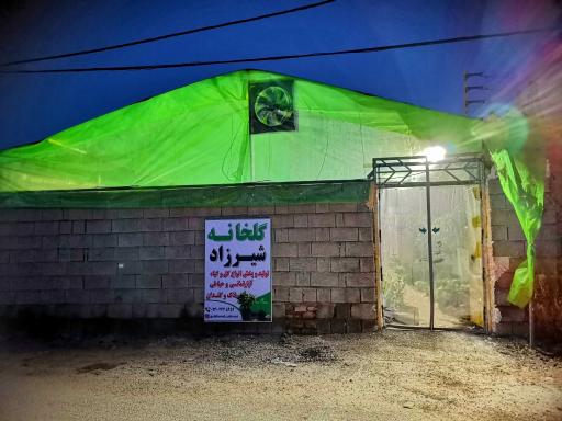 گلخانه شیرزاد 