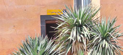 دستشویی پارک ناژون