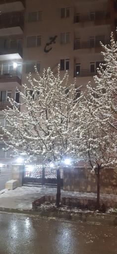 عکس مجتمع مسکونی گل نرگس سرعین